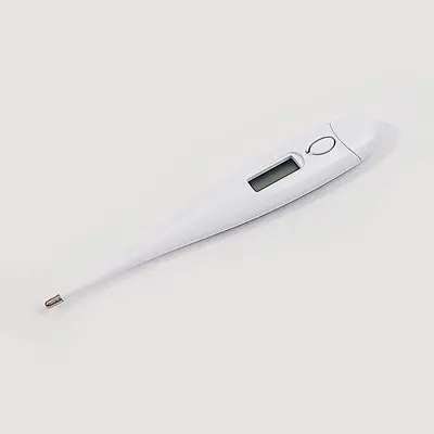 Propesyonal na Twin Zone Digital Thermometer Para sa Pagluluto