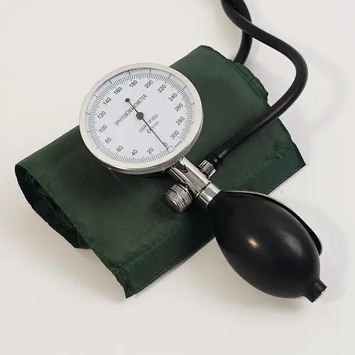 Wenzhou SunnyWorld Palm Blood Pressure Monitor Manufacturer